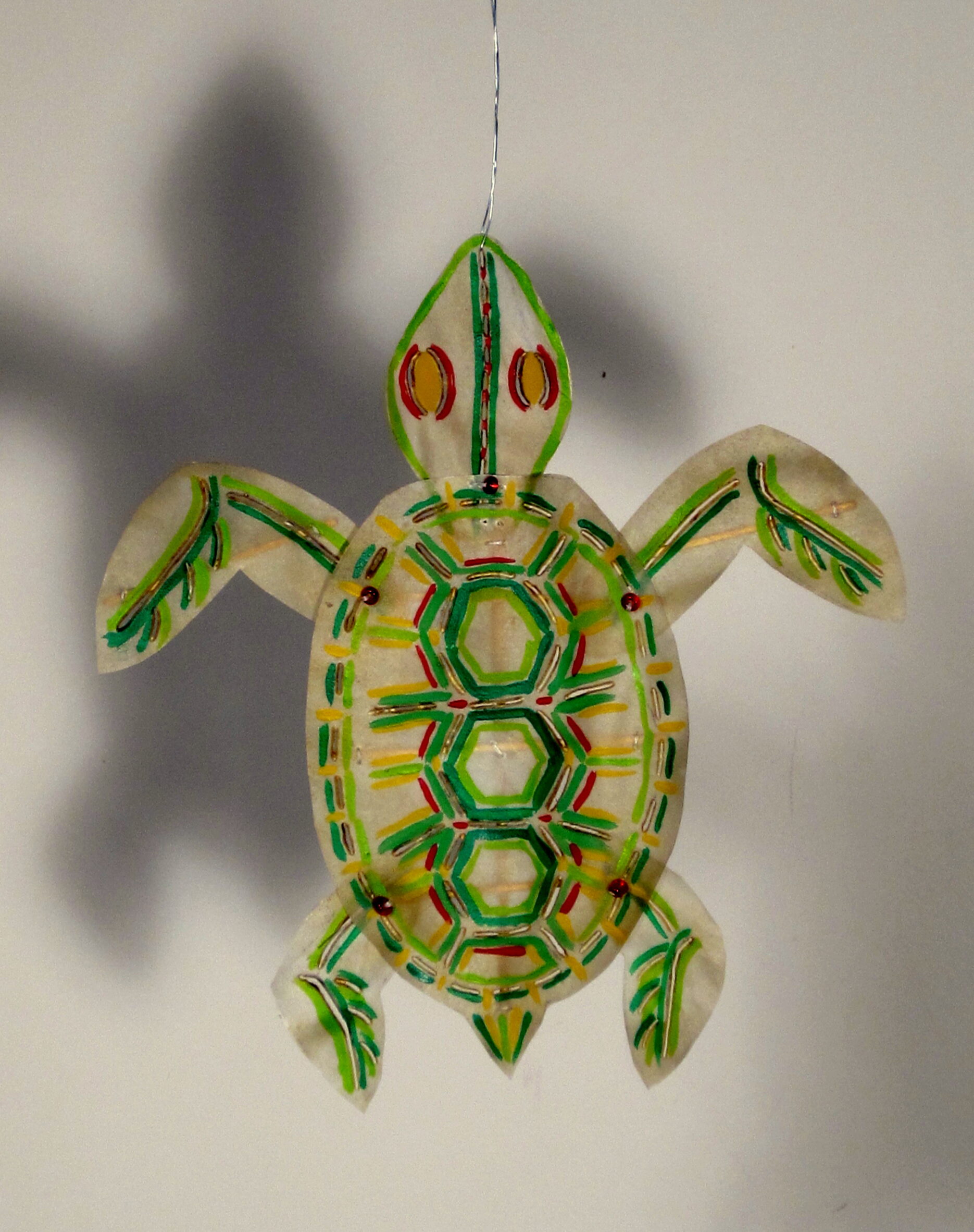 Shadow Turtle 2015
